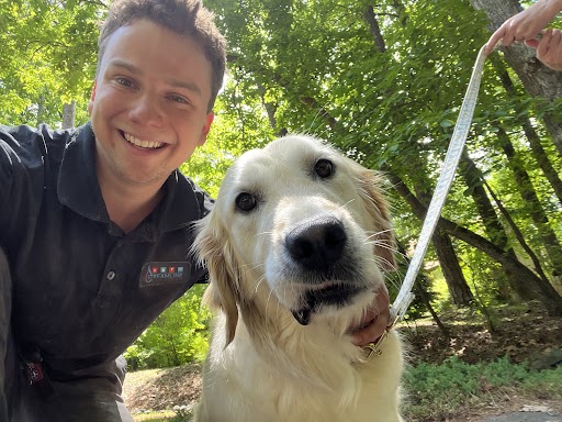 Feed A Dog 6 - Streamline Services Unnamed - Streamline Services