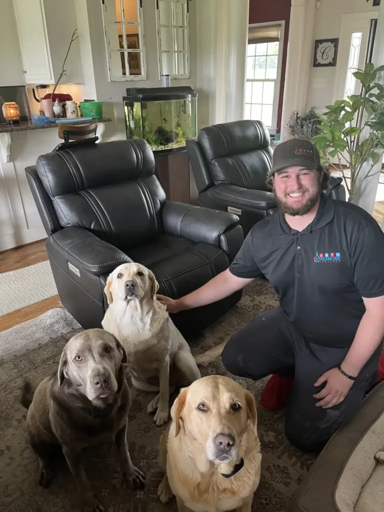 Dog Streamline 2 - Streamline Services