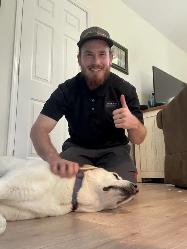 Dog Streamline 5 - Streamline Services
