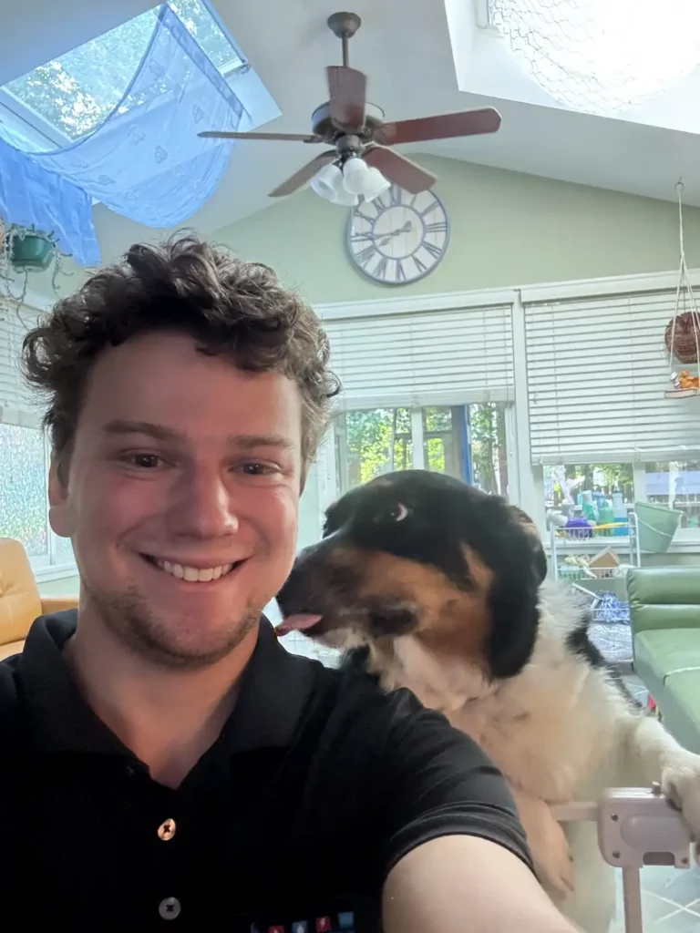 Dog Streamline 6 - Streamline Services
